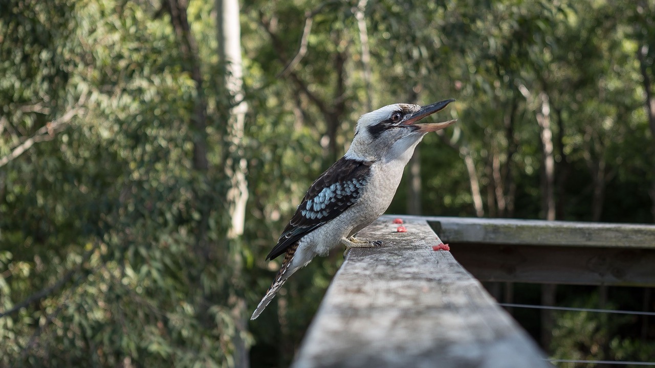 Photo of Outdoor in Vacy