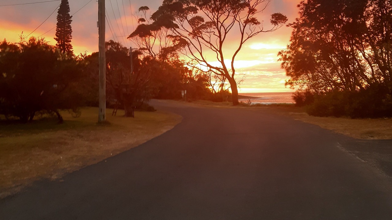 Photo of Others in Bawley Point