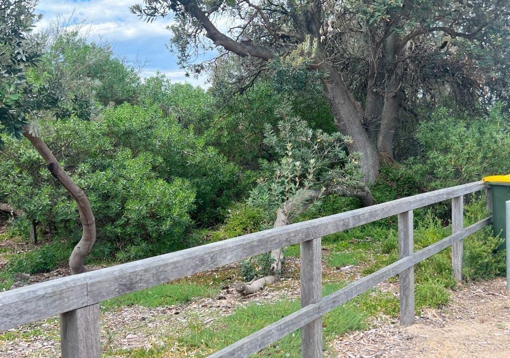 Photo of Outdoor in Seaford