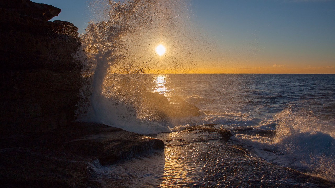 Photo of Others in Maroubra