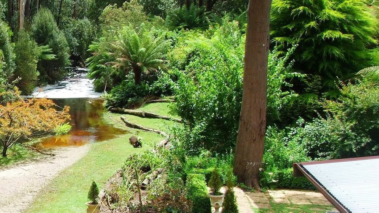 Photo of Outdoor in Rocky Cape