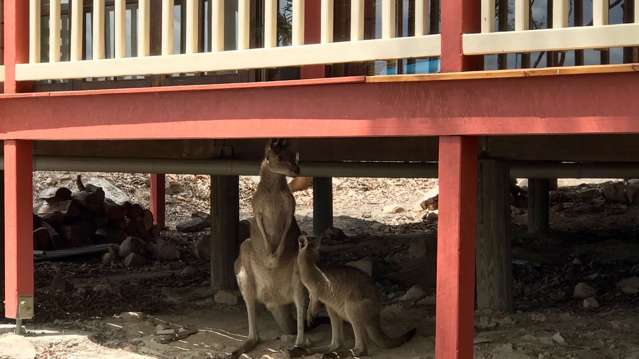 Photo of Others in Vacy