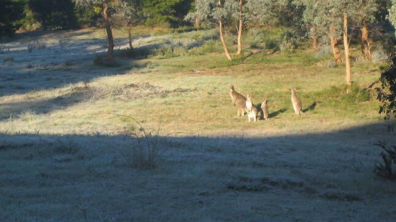 Photo of Outdoor in Chewton