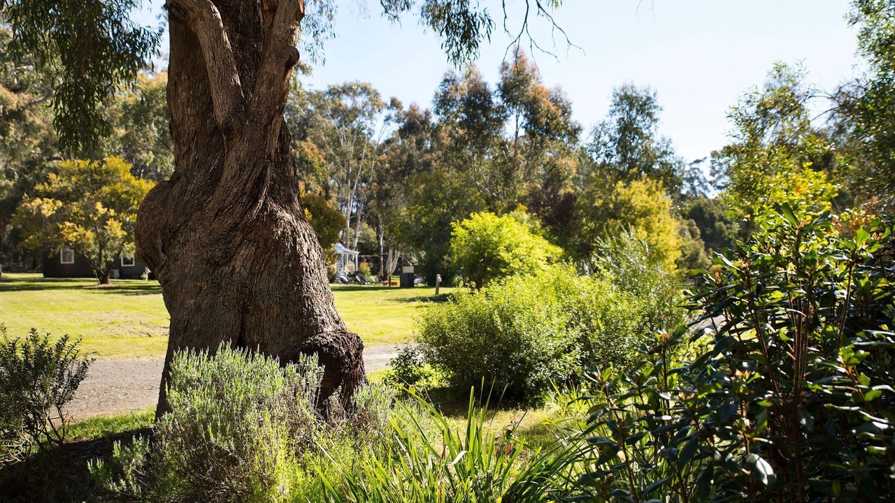 Photo of Outdoor in Daylesford