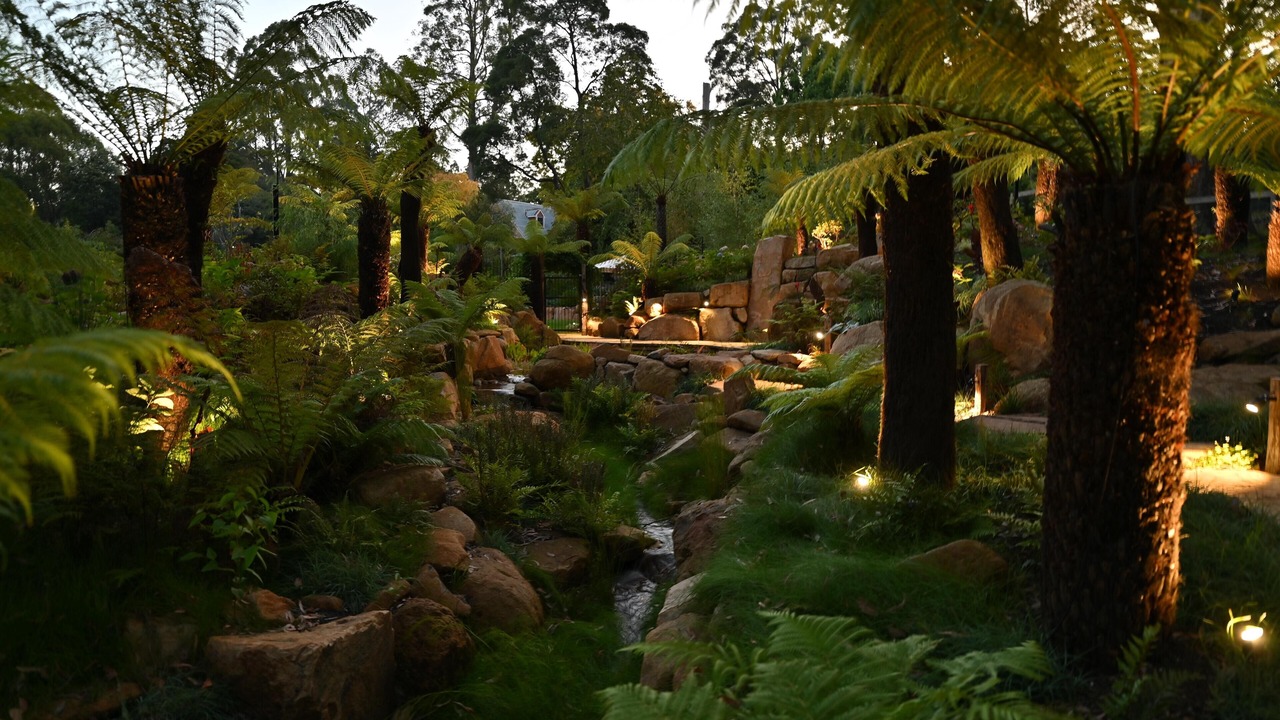 Photo of Outdoor in Mount Dandenong