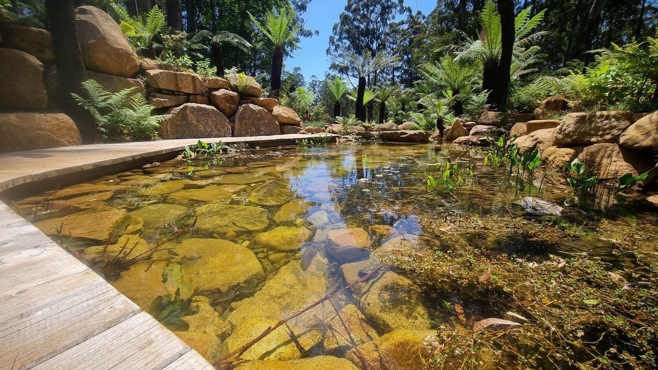 Photo of Outdoor in Mount Dandenong