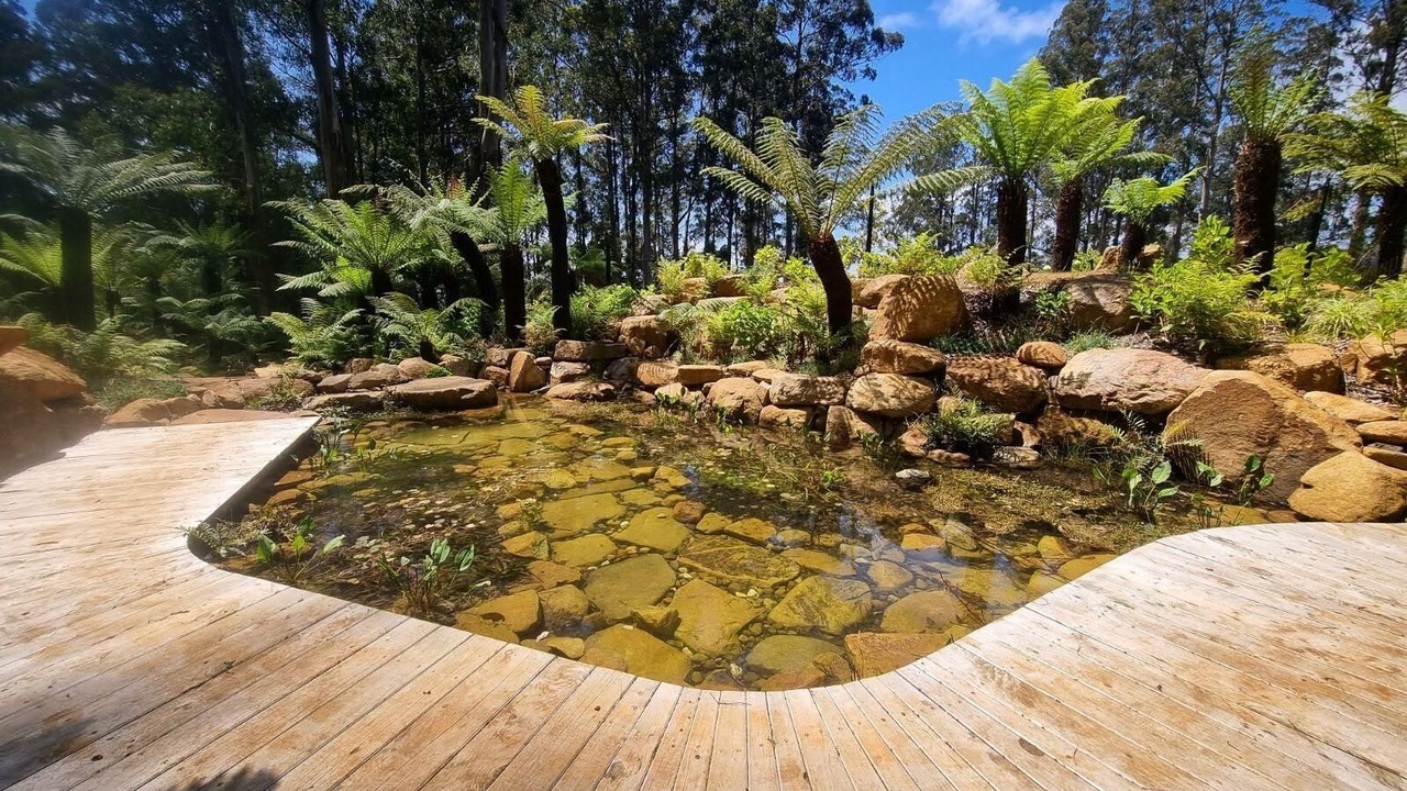 Photo of Outdoor in Mount Dandenong
