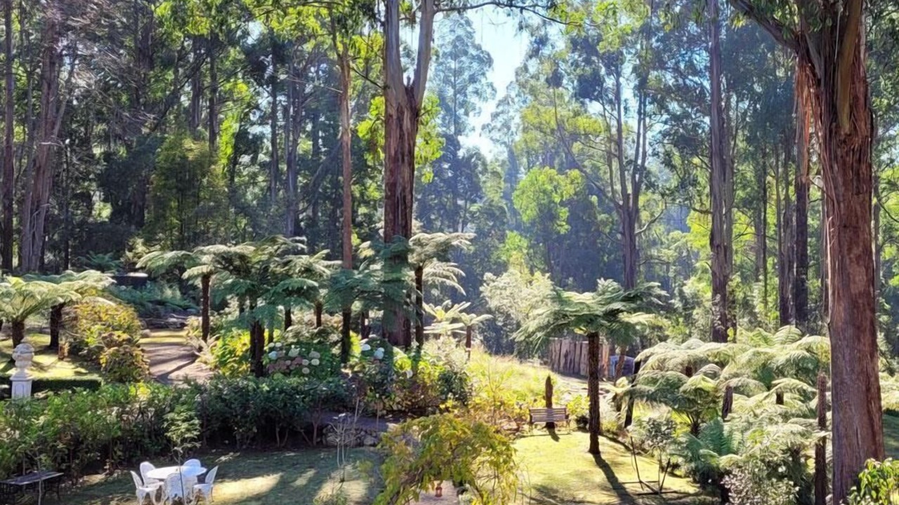 Photo of Outdoor in Mount Dandenong