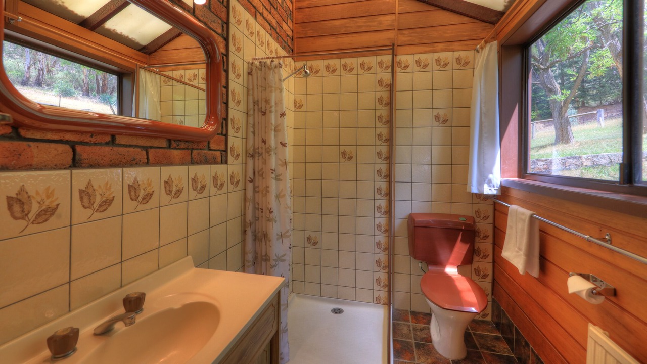 Photo of Bathroom in Crackenback