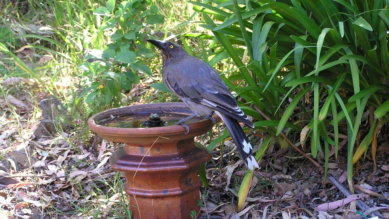 Photo of Outdoor in Medlow Bath