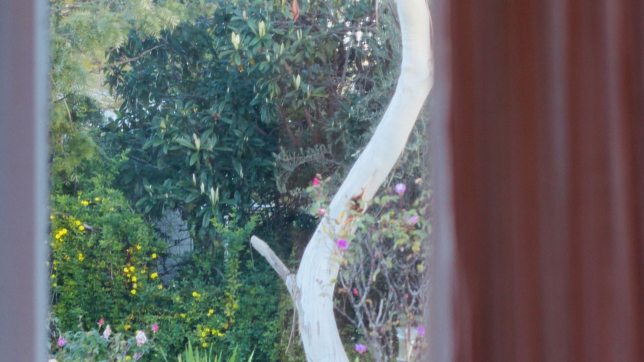 Photo of Bedroom in Canowindra