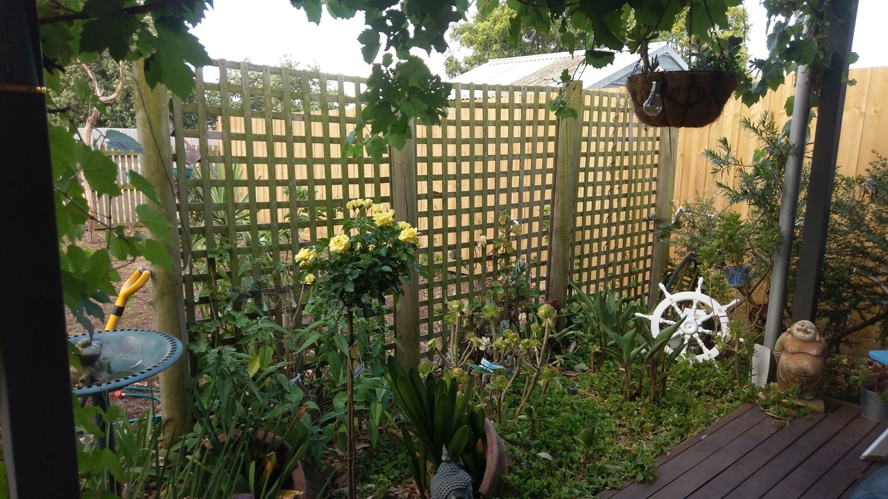 Photo of Outdoor in Portarlington