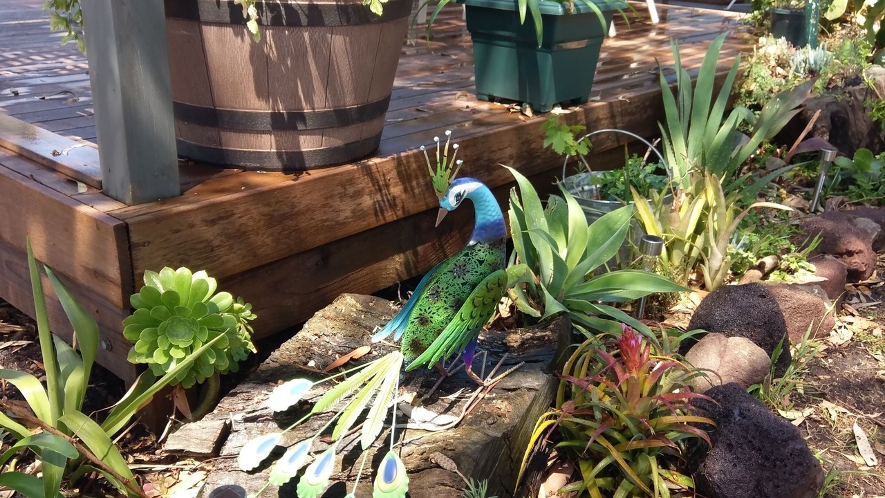 Photo of Outdoor in Portarlington
