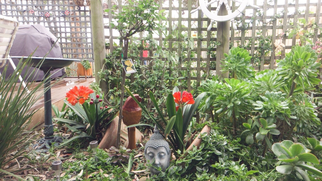 Photo of Outdoor in Portarlington