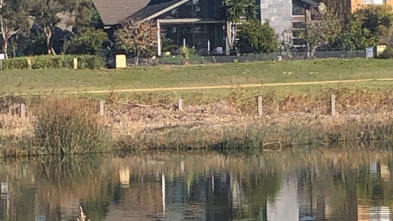 Photo of Others in Sanctuary Lakes