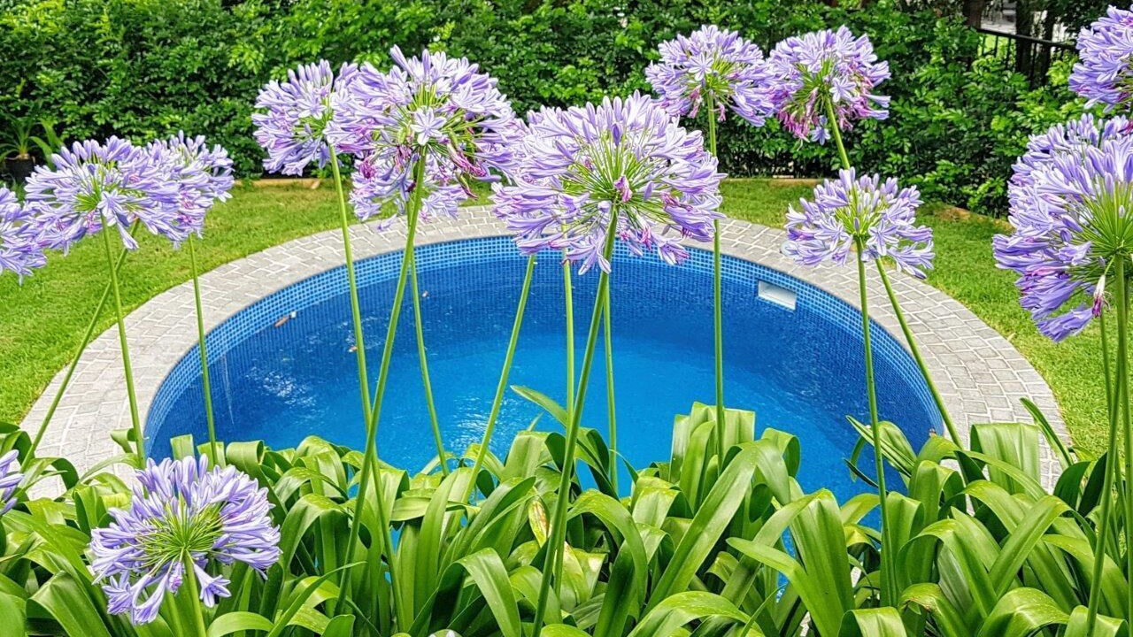 Photo of Outdoor in Auchenflower
