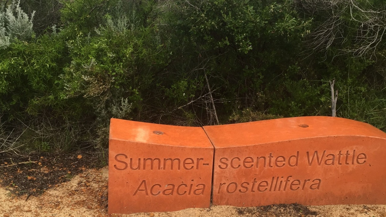 Photo of Outdoor in Jurien Bay