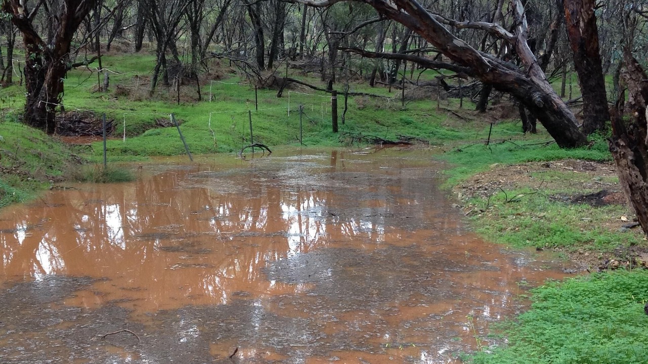 Photo of Outdoor in West Toodyay