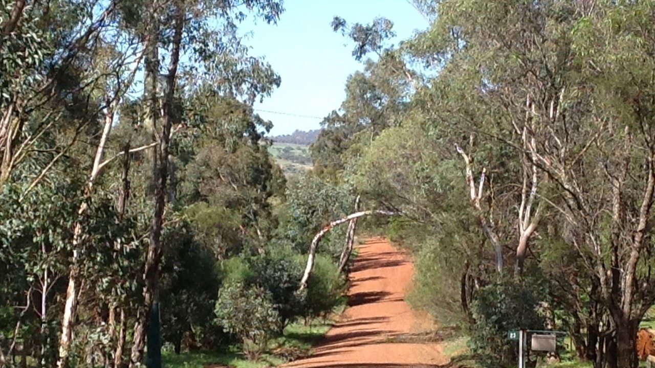 Photo of Outdoor in West Toodyay