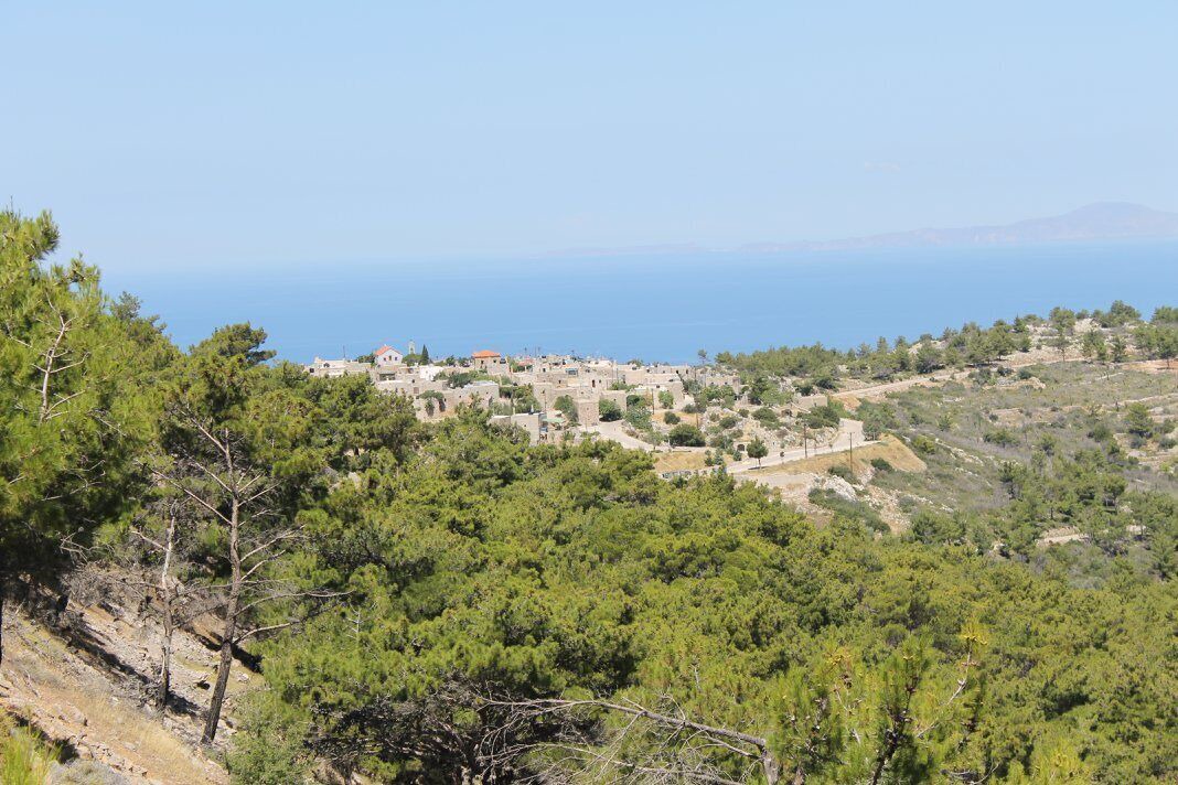 Photo of Others in Avgonyma