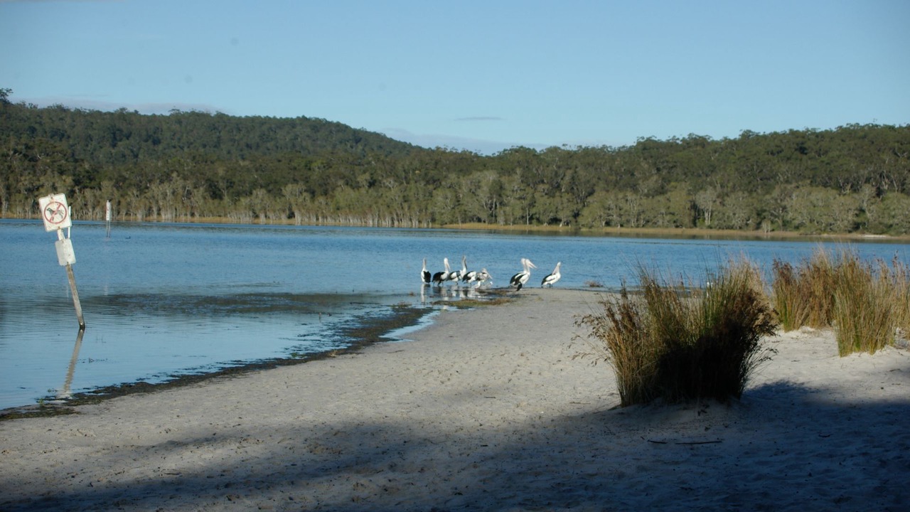 Photo of Outdoor in Smiths Lake