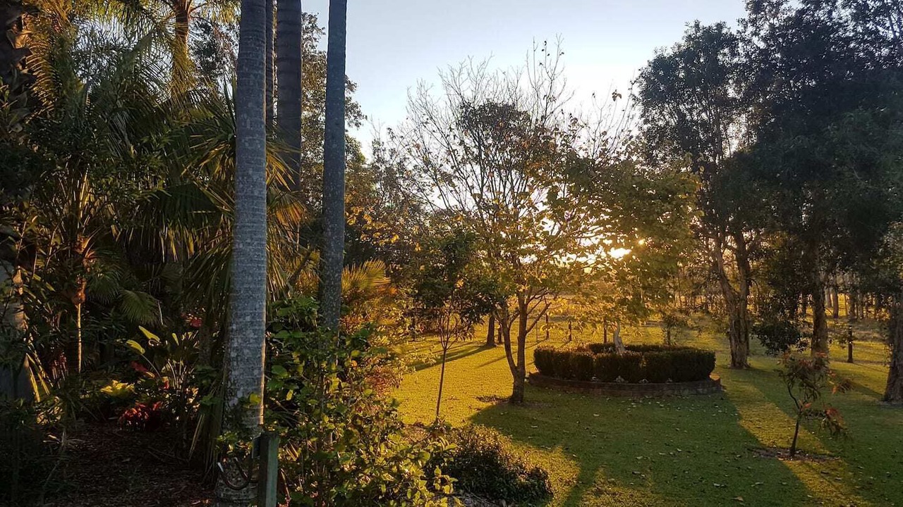 Photo of Outdoor in North Nowra