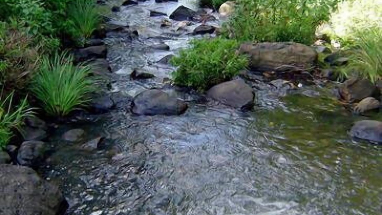 Photo of Outdoor in Nimbin