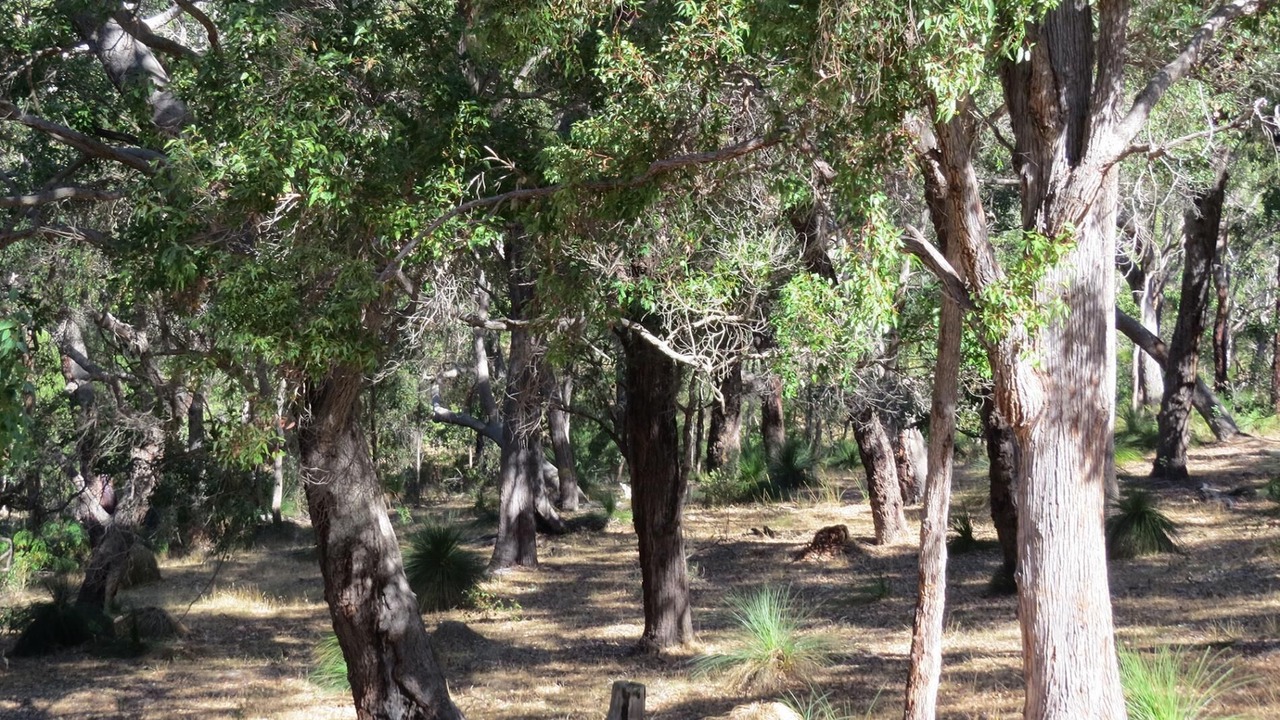 Photo of Bedroom in Quindalup