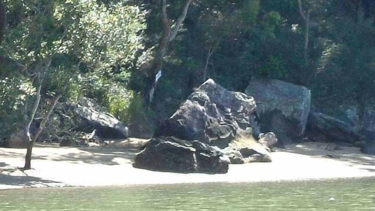 Photo of Others in Bar Point