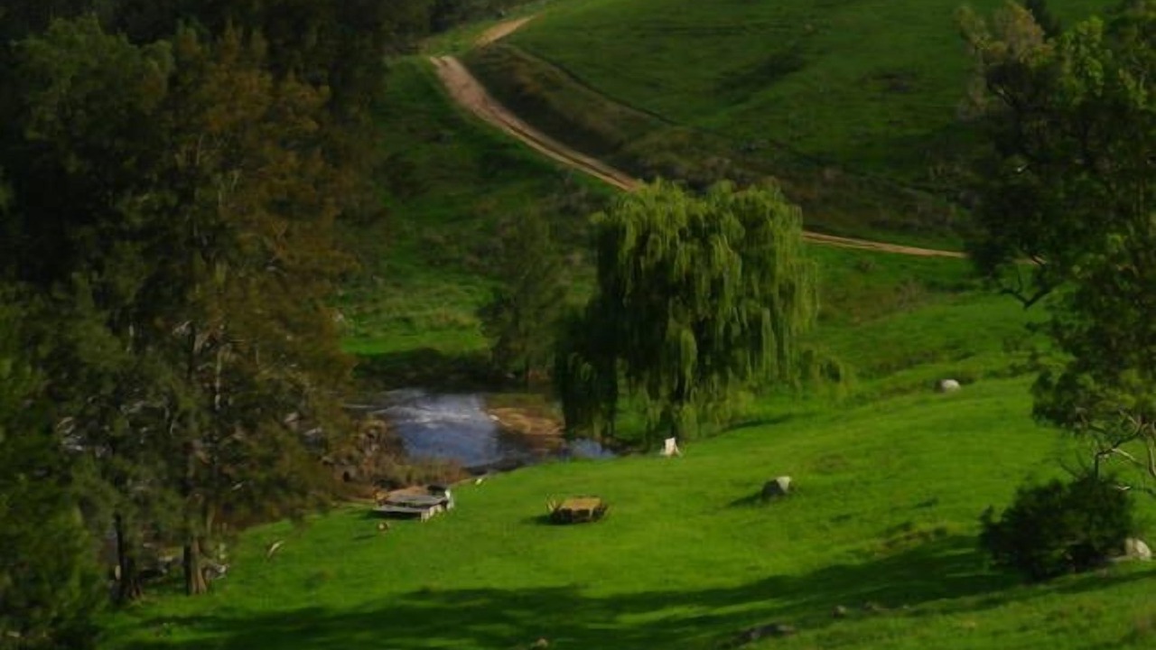 Photo of Others in Megalong Valley