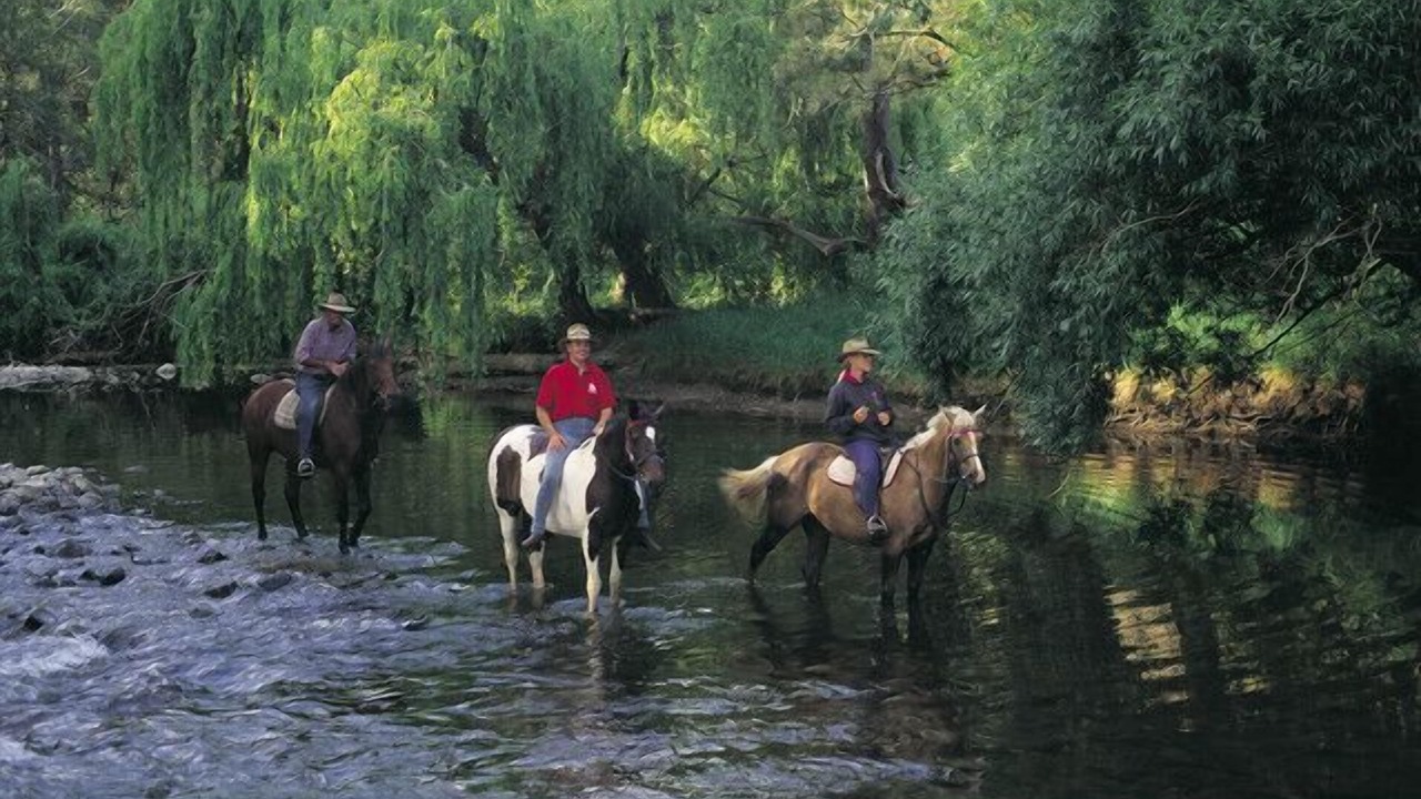 Photo of Others in Little River