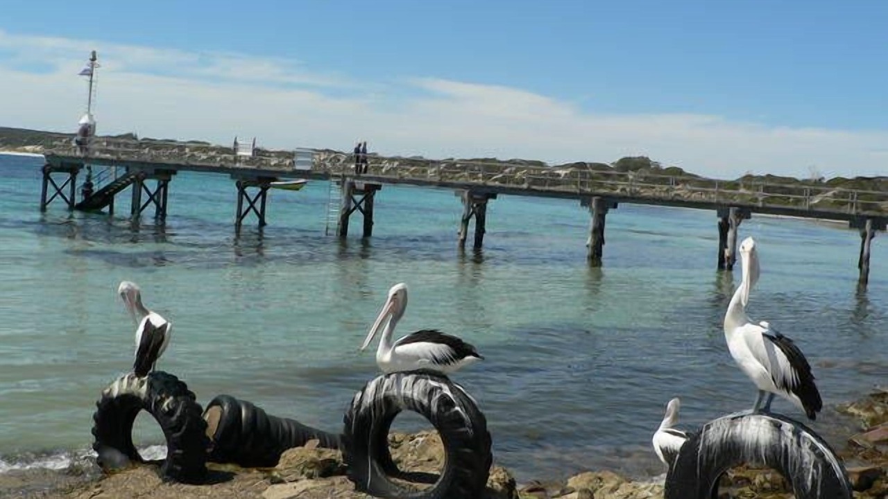 Photo of Others in Emu Bay