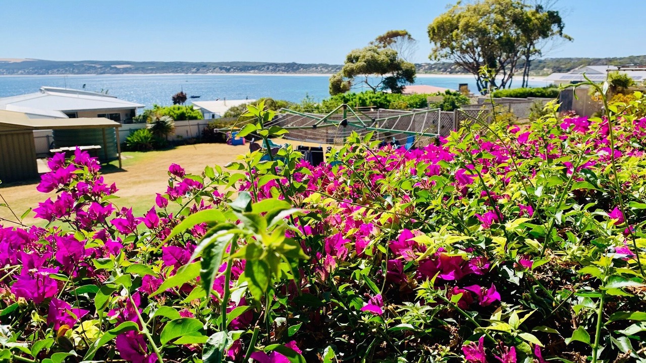 Photo of Outdoor in Emu Bay