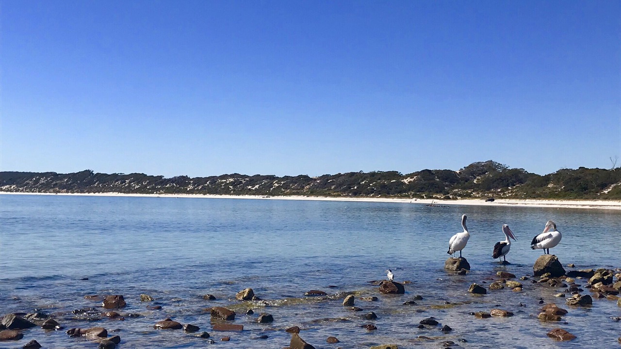 Photo of Others in Emu Bay