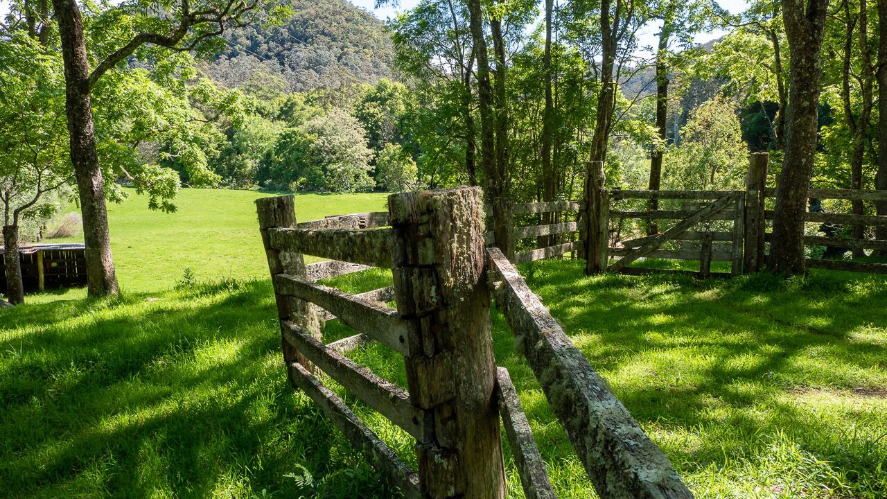 Photo of Outdoor in Cedar Brush Creek