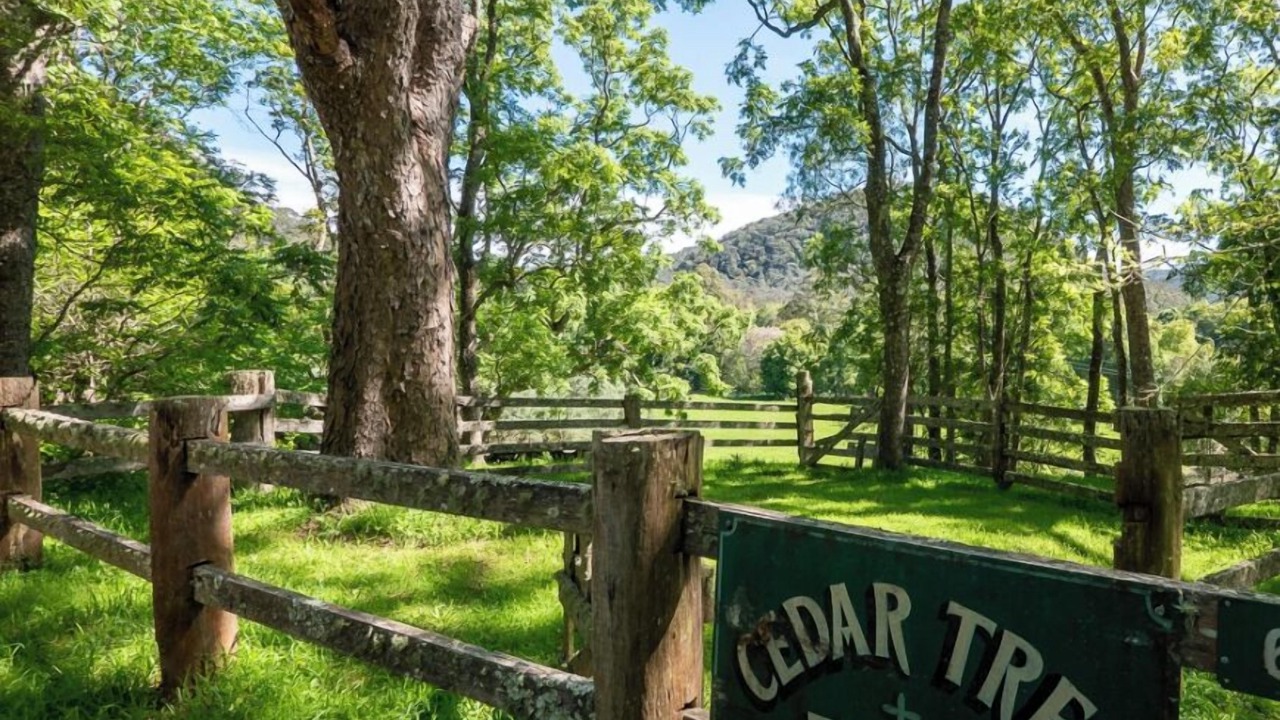Photo of Outdoor in Cedar Brush Creek