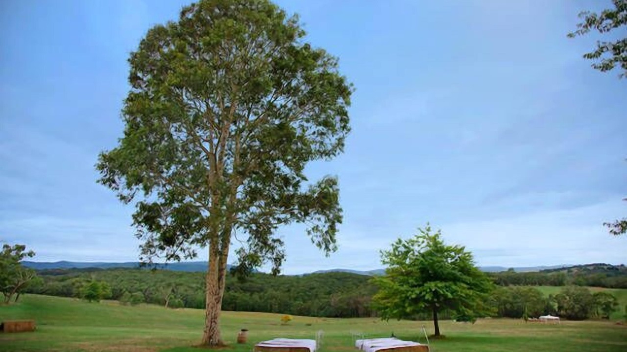 Photo of Outdoor in Gruyere