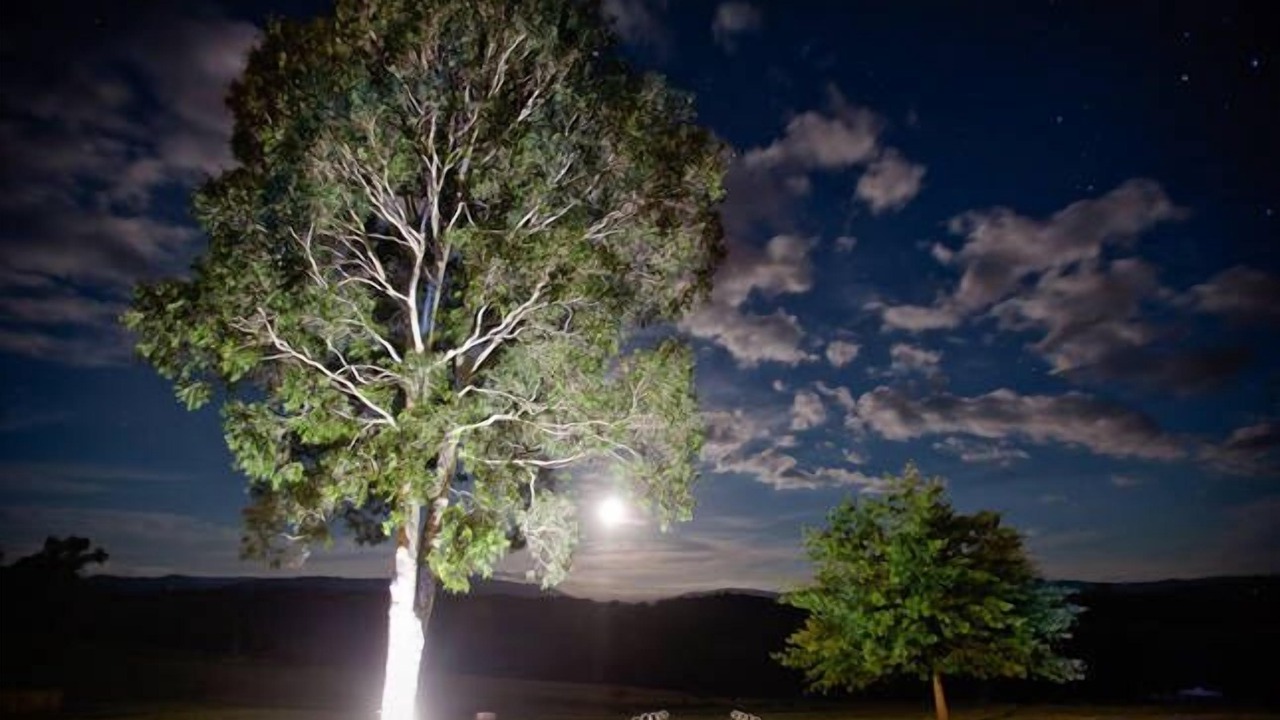 Photo of Outdoor in Gruyere