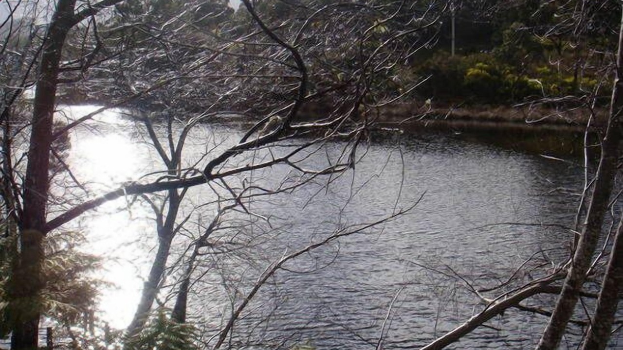 Photo of Outdoor in Lune River