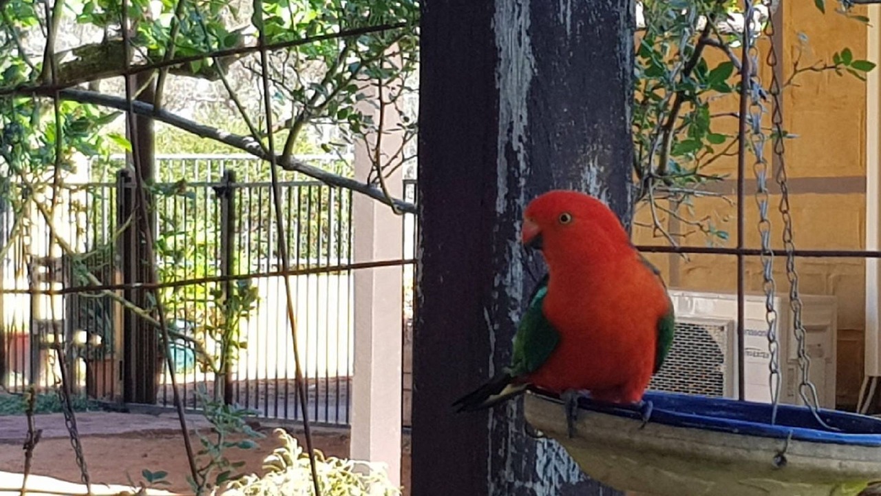 Photo of Outdoor in Coonabarabran
