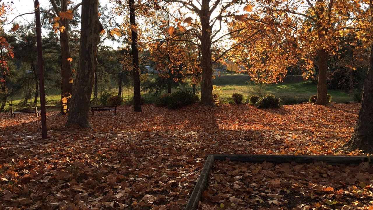 Photo of Outdoor in Coonabarabran