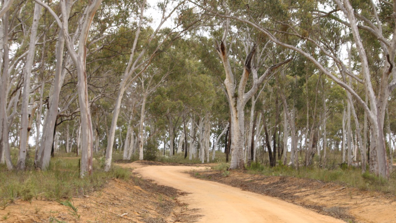 Photo of Outdoor in Coonabarabran