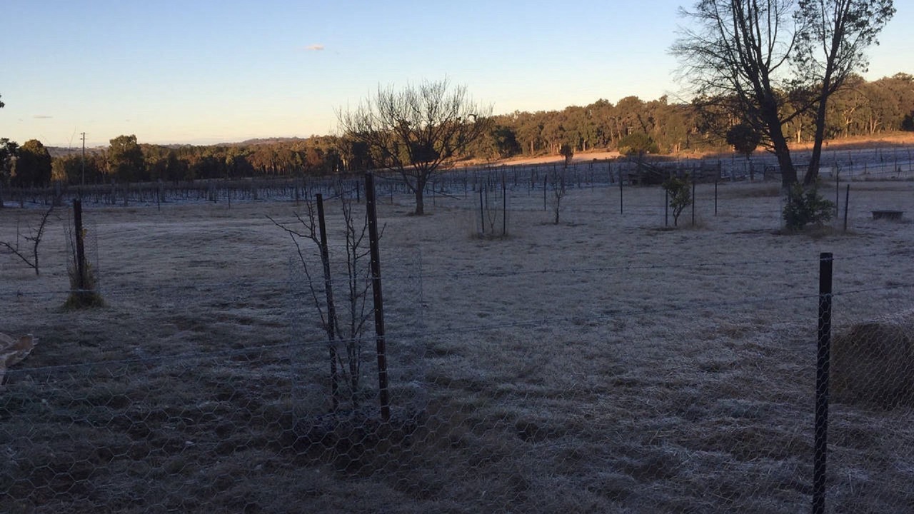 Photo of Others in Coonabarabran