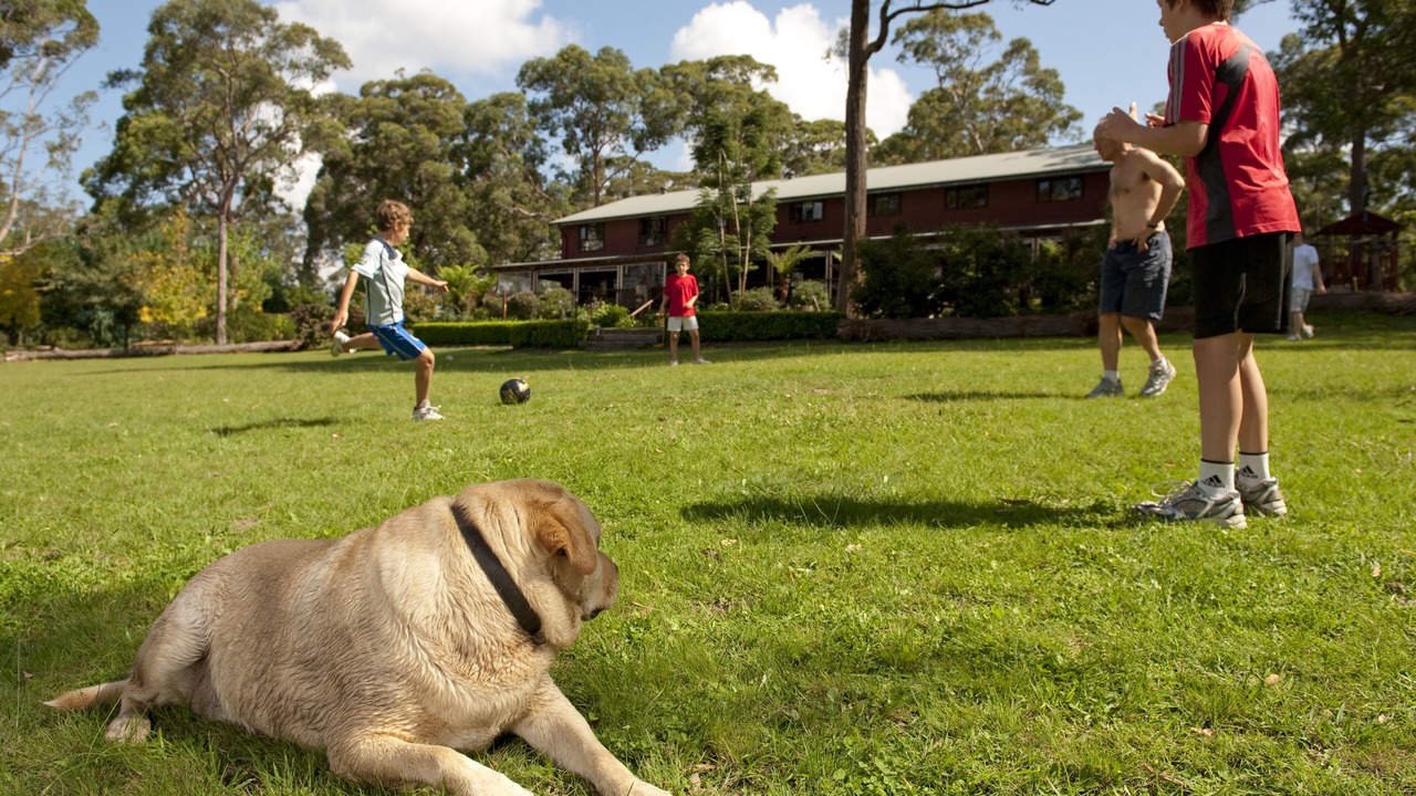 Photo of Others in Bilpin
