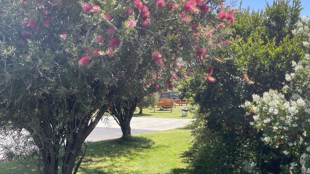 Photo of Outdoor in Swansea