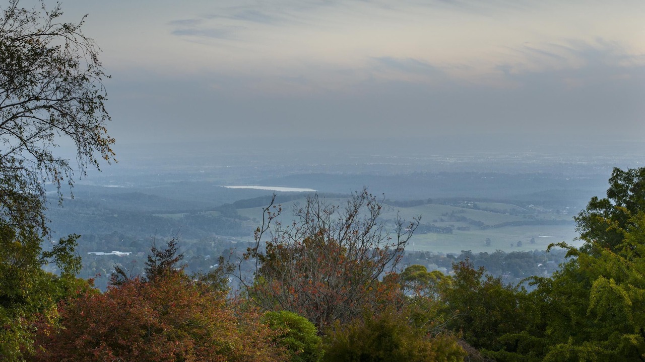 Photo of Outdoor in Ferny Creek
