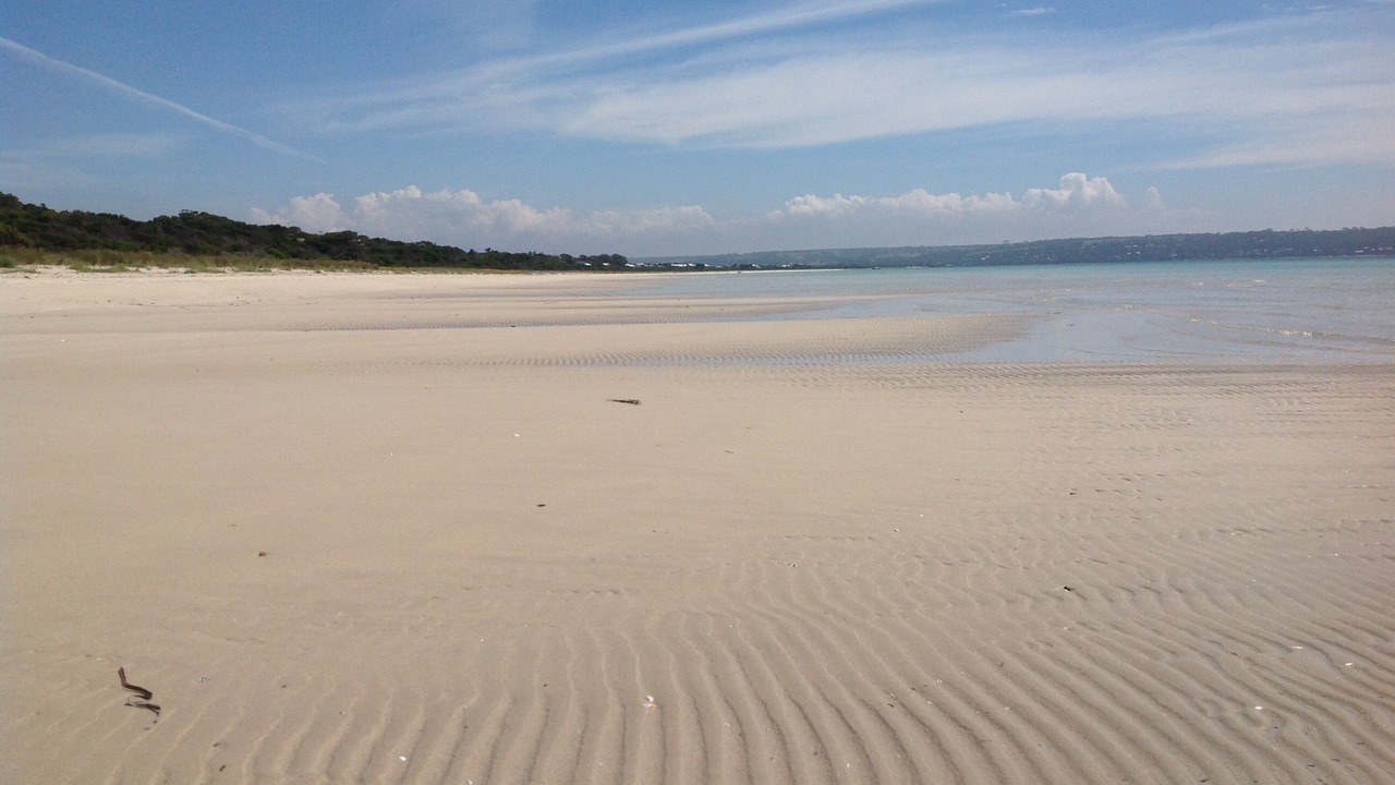 Photo of Others in Island Beach