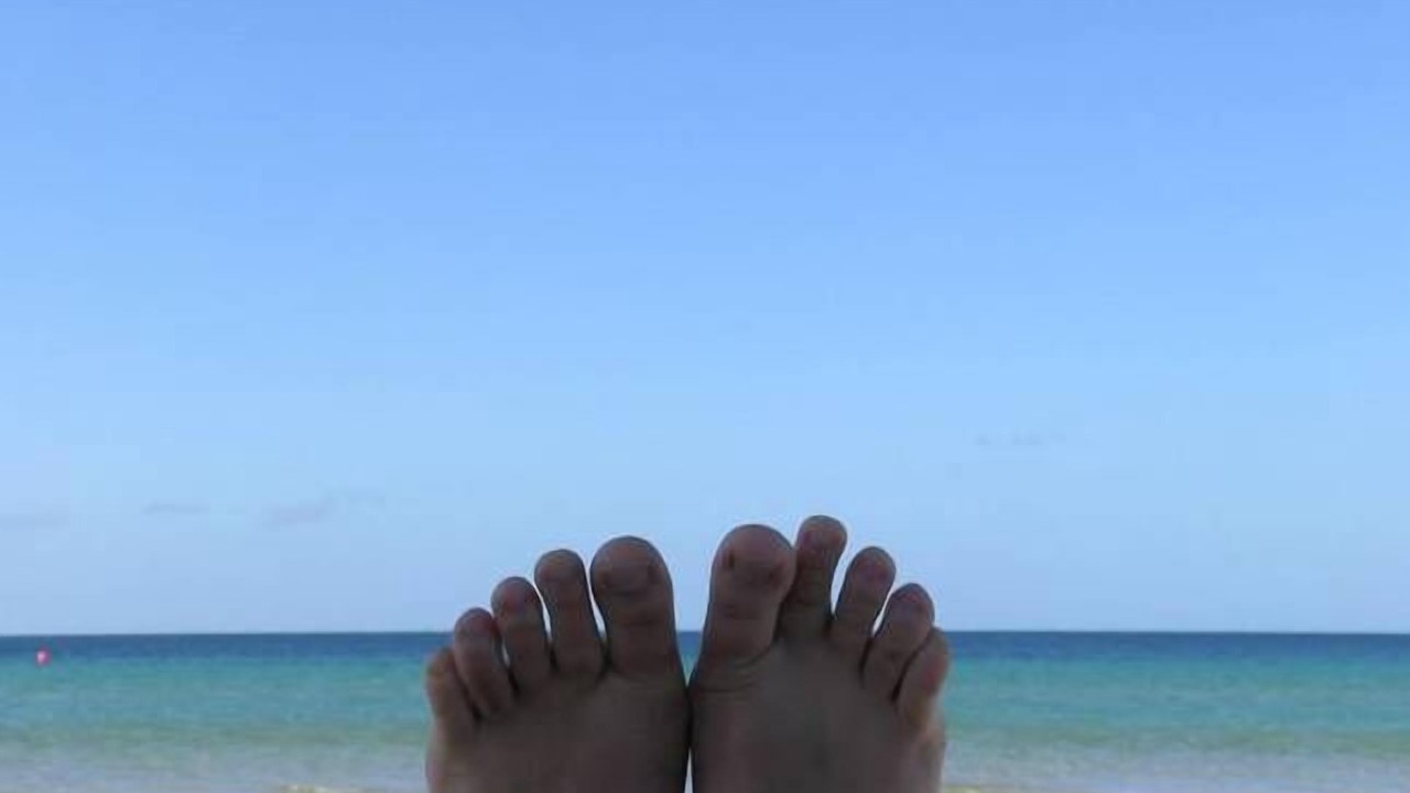 Photo of Others in Island Beach