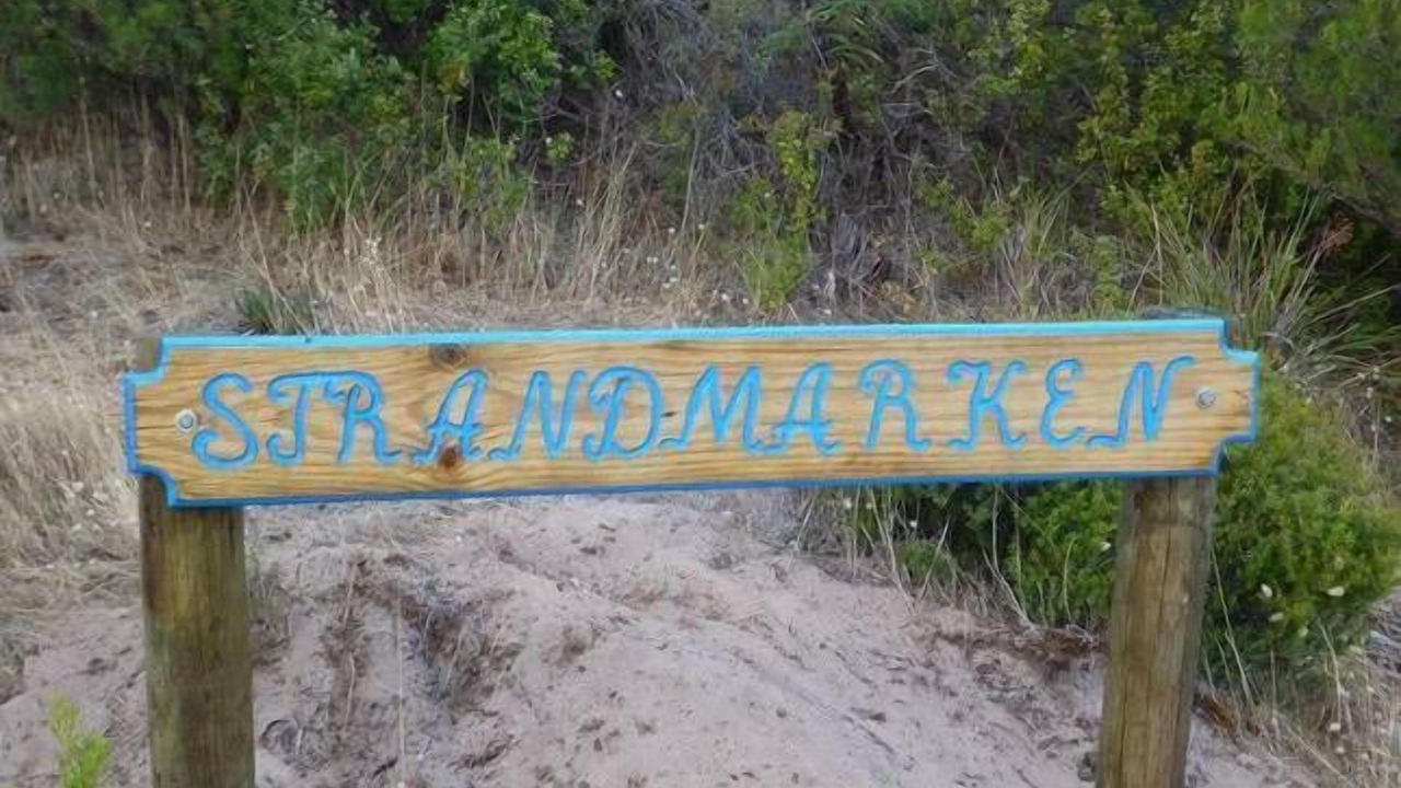 Photo of Outdoor in Island Beach