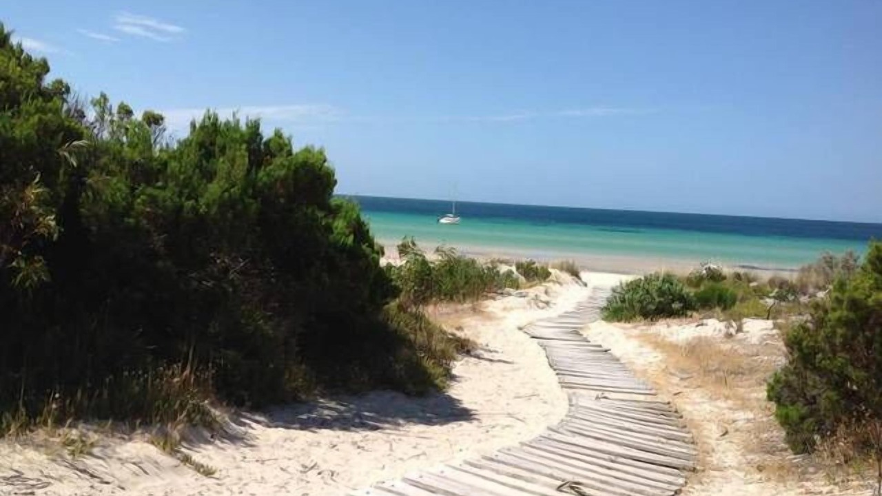 Photo of Others in Island Beach